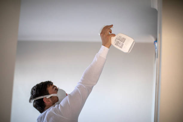 Best Certified Mold Removal  in Wernersville, PA