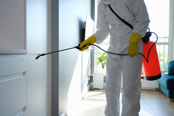 Best Residential Mold Removal  in Wernersville, PA