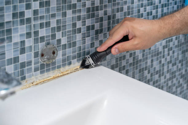 Best Mold Removal Company Near Me  in Wernersville, PA